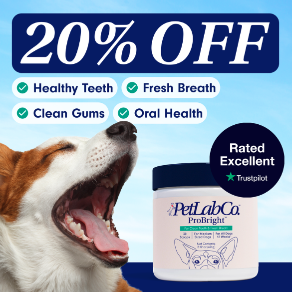 20% off — PetLab Co ProBright dental ad